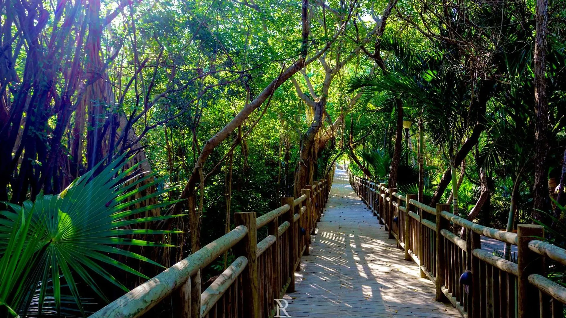 Estates Three Bedroom- Riviera Maya Puerto Morelos